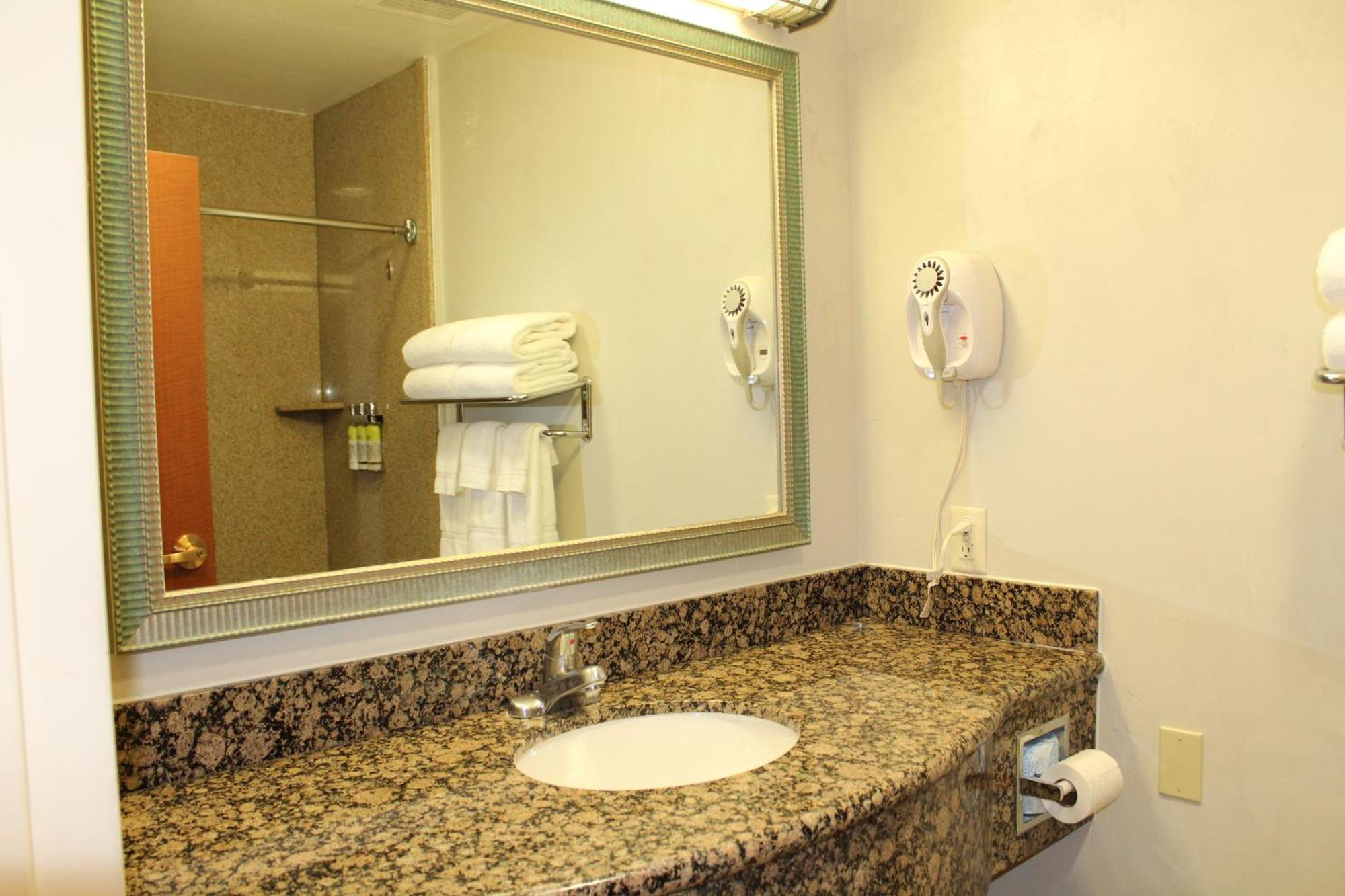 One-Bedroom King Suite