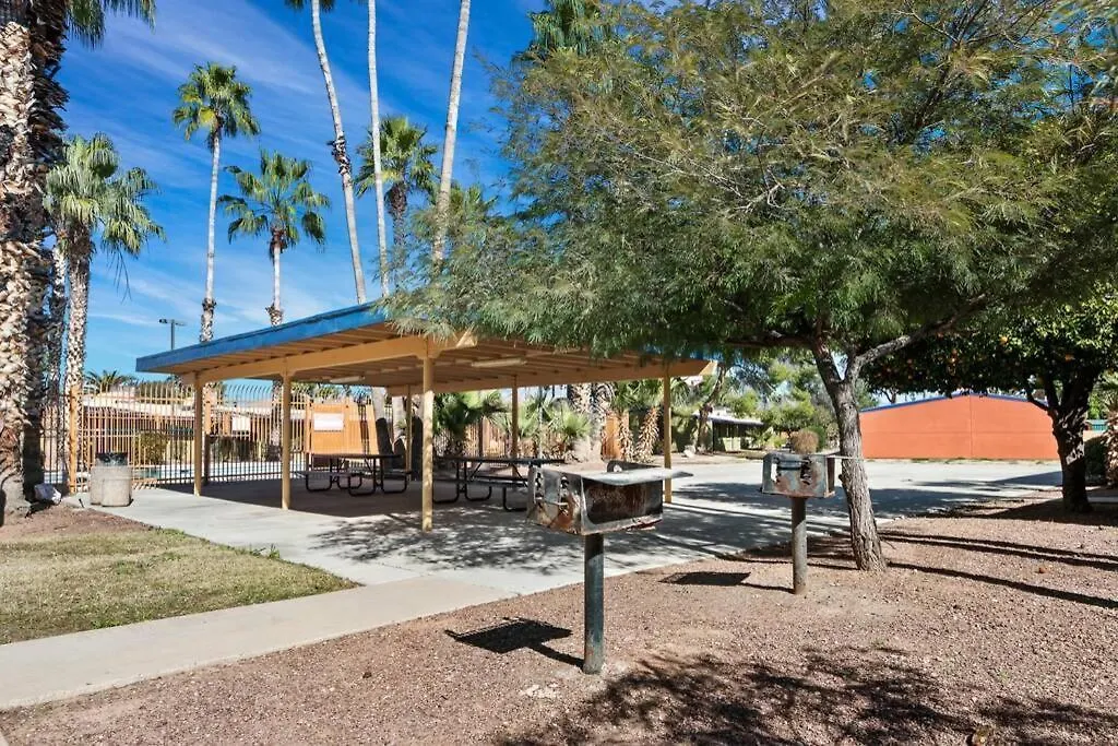 Sunset Foothills 2Br/1Ba Condo; Mins To Uofa,Hiking,&Food-1