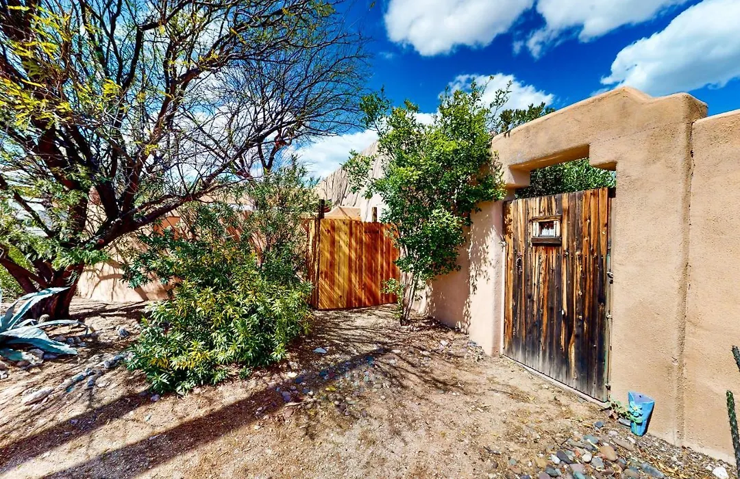 Saguaro Sanctuary-1