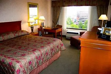 Arizona Motel-1
