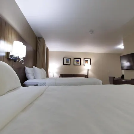 Comfort Suites Tucson Near Sabino Canyon-3